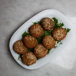 Regular Falafel Platter